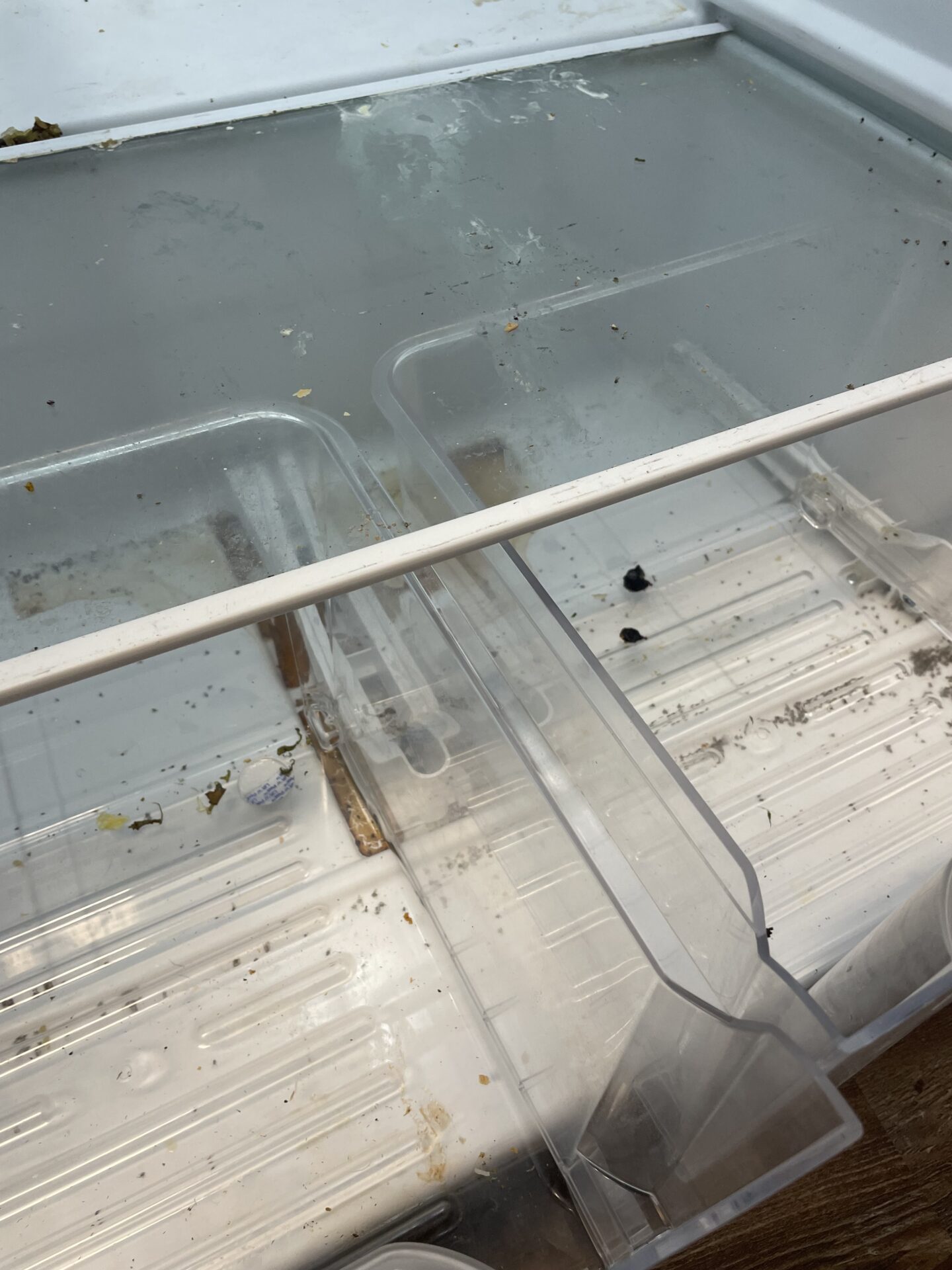 Before image