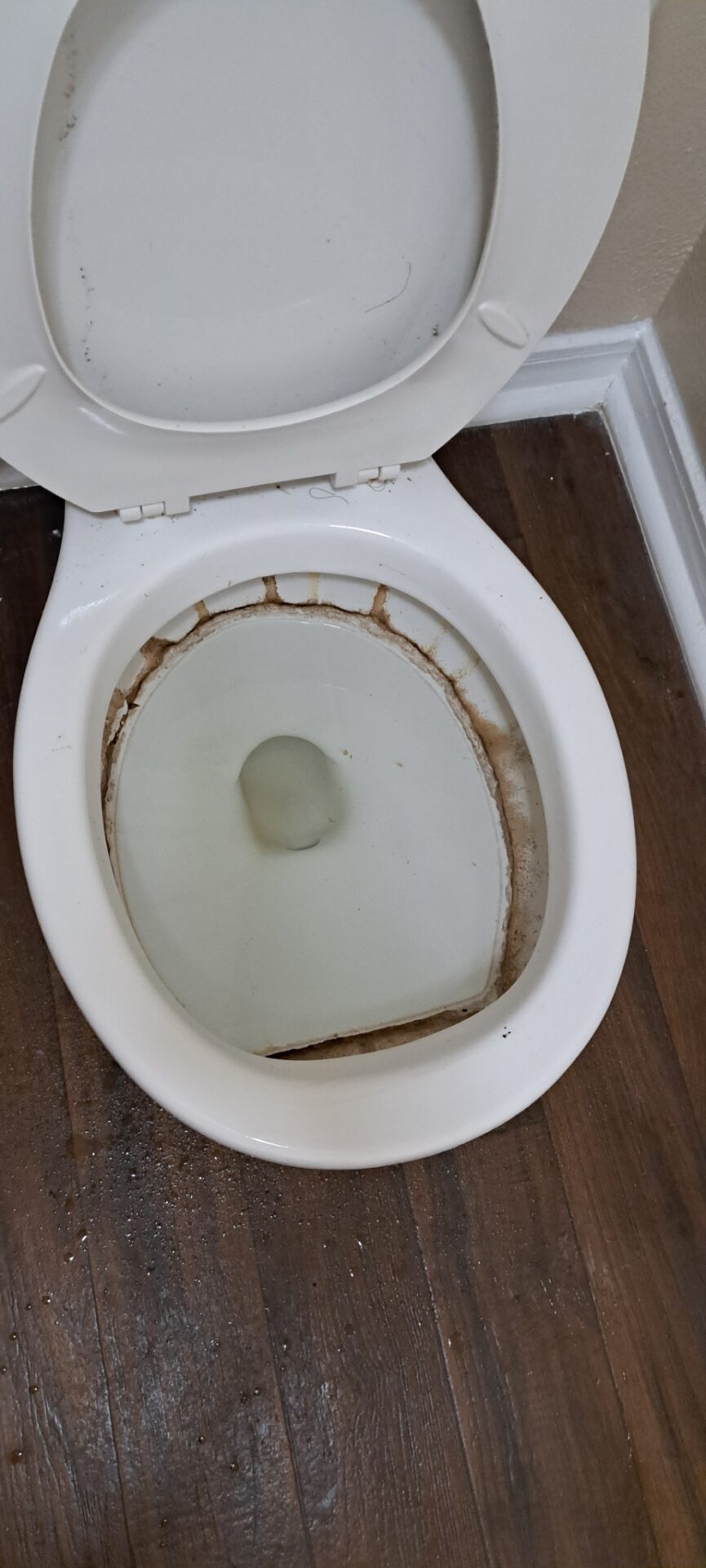 Before image